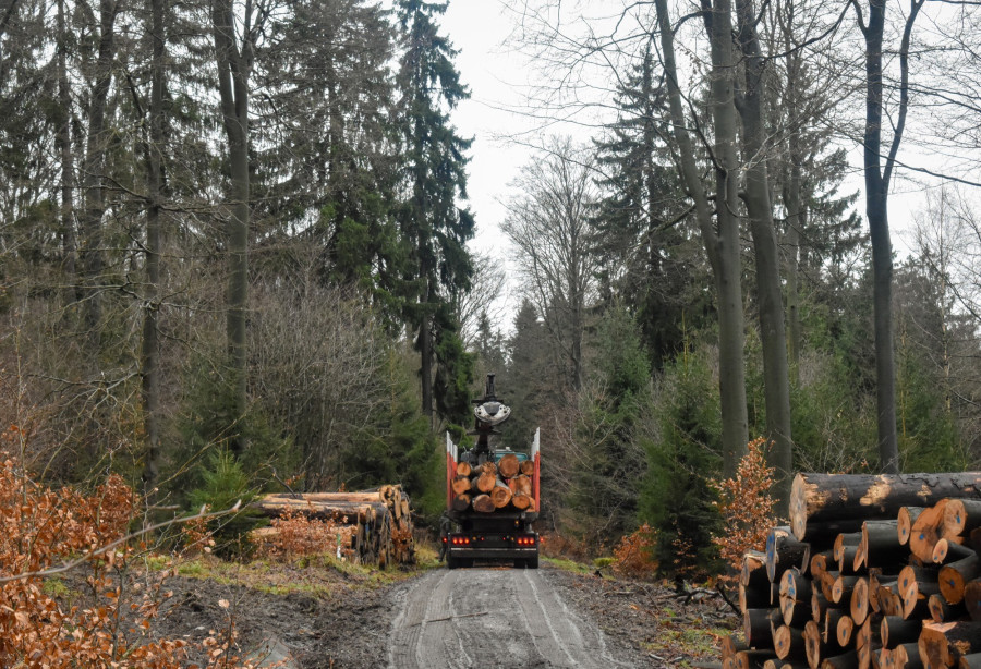 Illusztráció: Kai Bossom on Unsplash