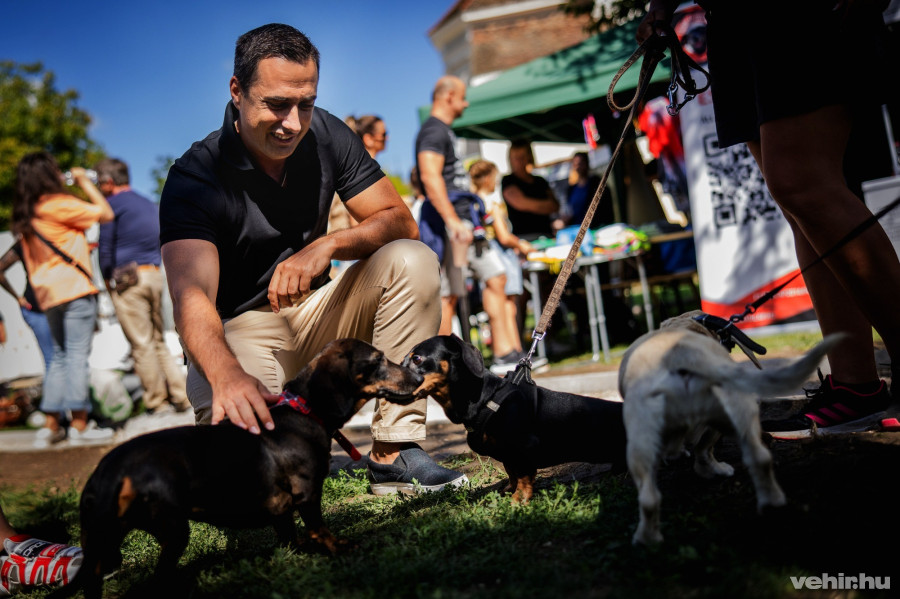 Ovádi Péter (vehir archív fotó)