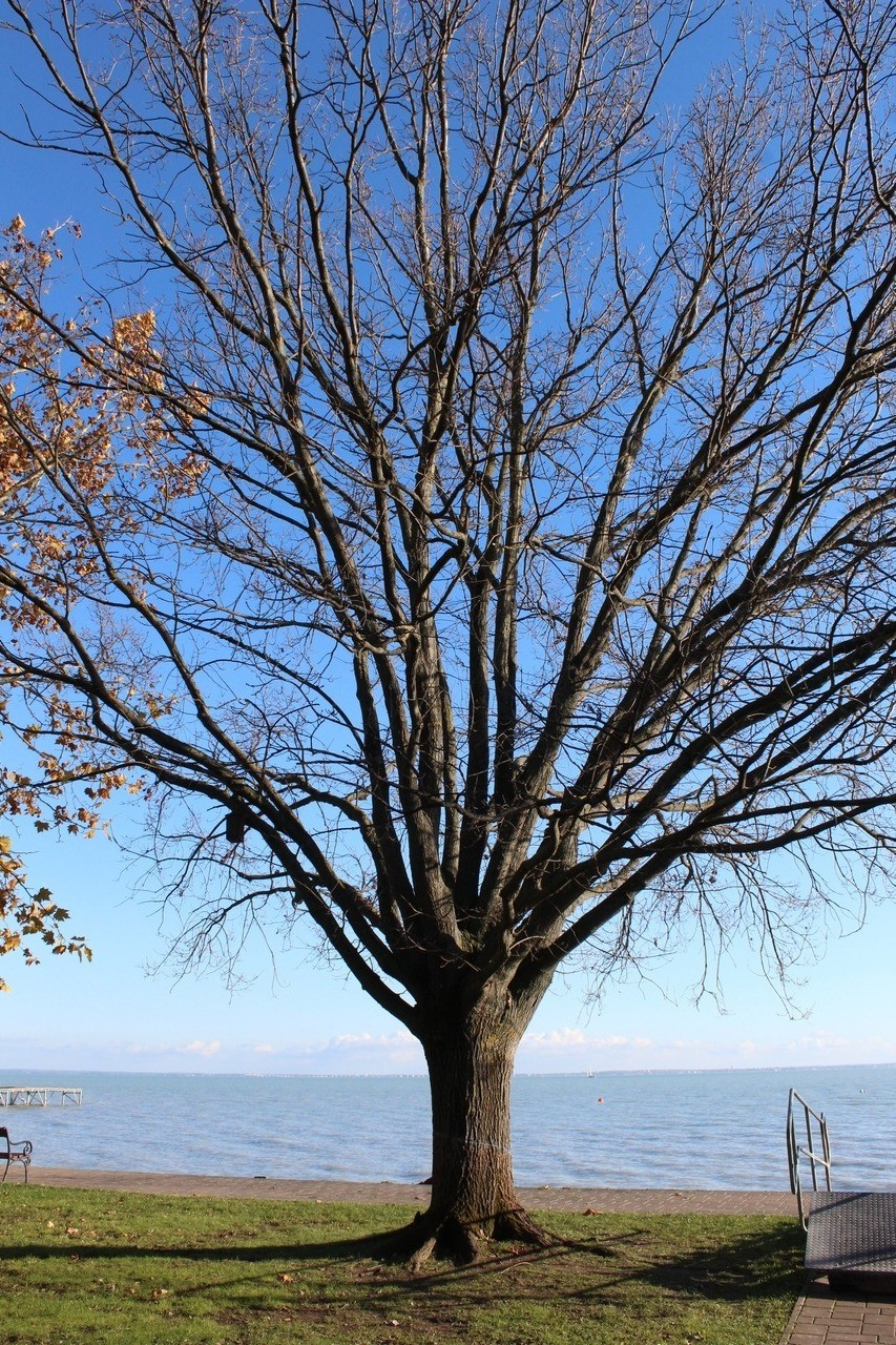 fotó: Veszprém megyei rendőrség