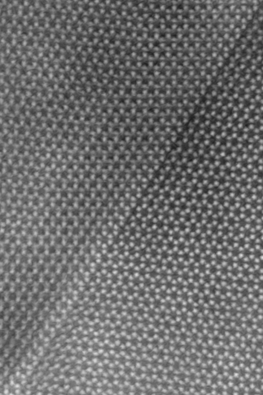 Ikerhatár balatoni vándorkagyló héját alkotó aragonit ásványban. Készítette: Pekker Péter