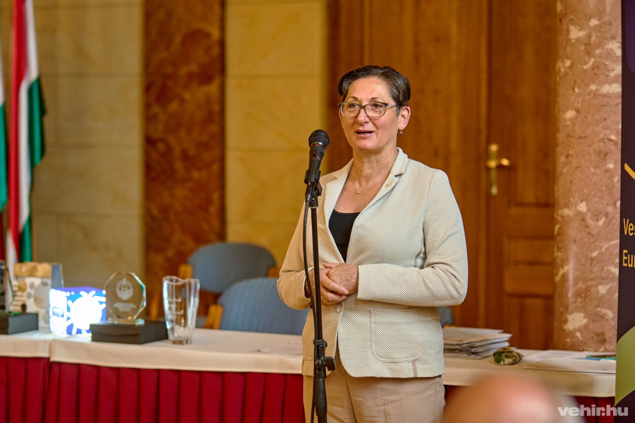 Brányi Mária, alpolgármester