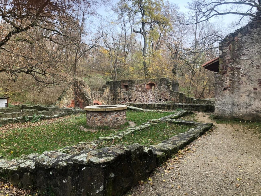 A salföldi pálos kolostor