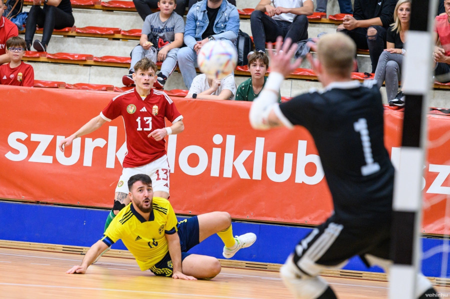Döntetlent játszott a svédekkel a magyar válogatott (archív fotó)