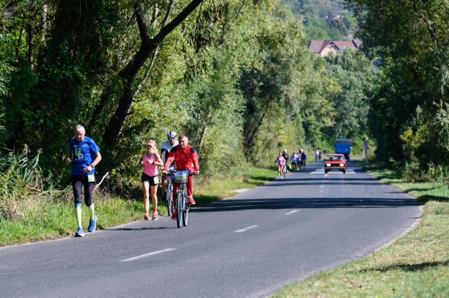 Fotó: MTI/Vasvári Tamás (archív)
