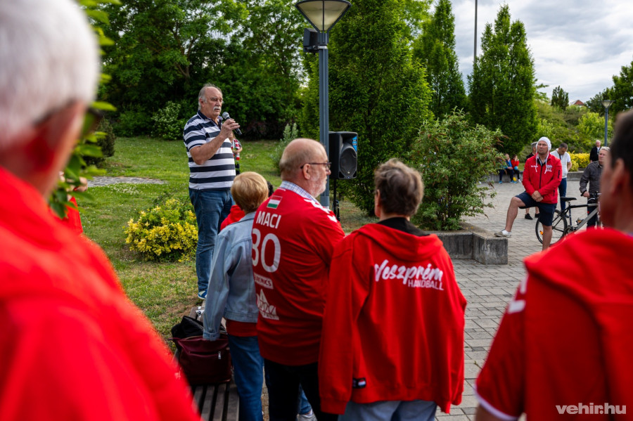 Pardi Károly: Az döntsön, aki ért hozzá