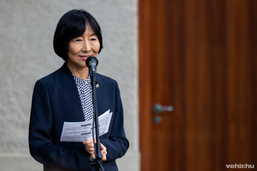 Ono Hikariko, Japán nagykövete