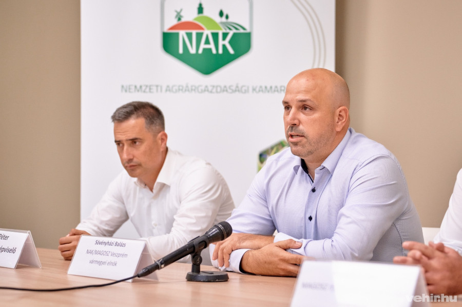 Ovádi Péter, Sövényházi Balázs