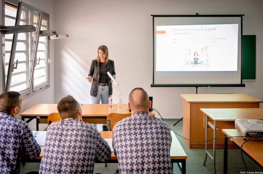 Fotó: Közös ügyünk az állatvédelem Alapítvány