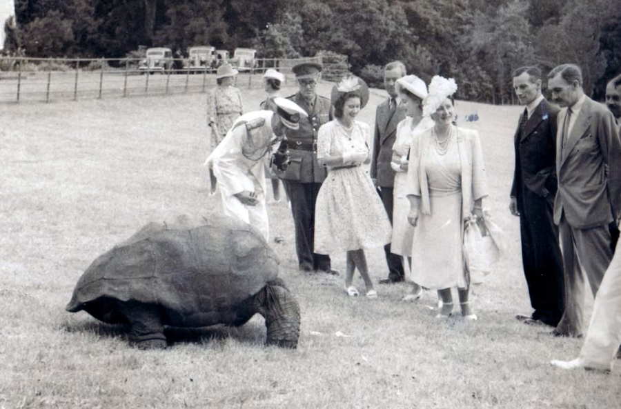 Az Brit királyi család és Jonathan 1947-ben