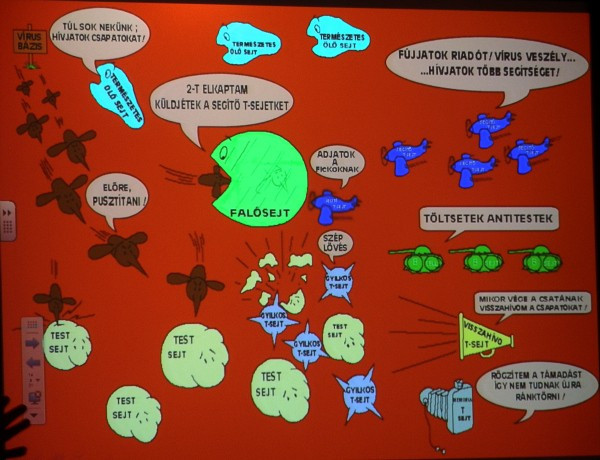 Az immunrendszerünk állandó háborúban áll (Vehír fotó)