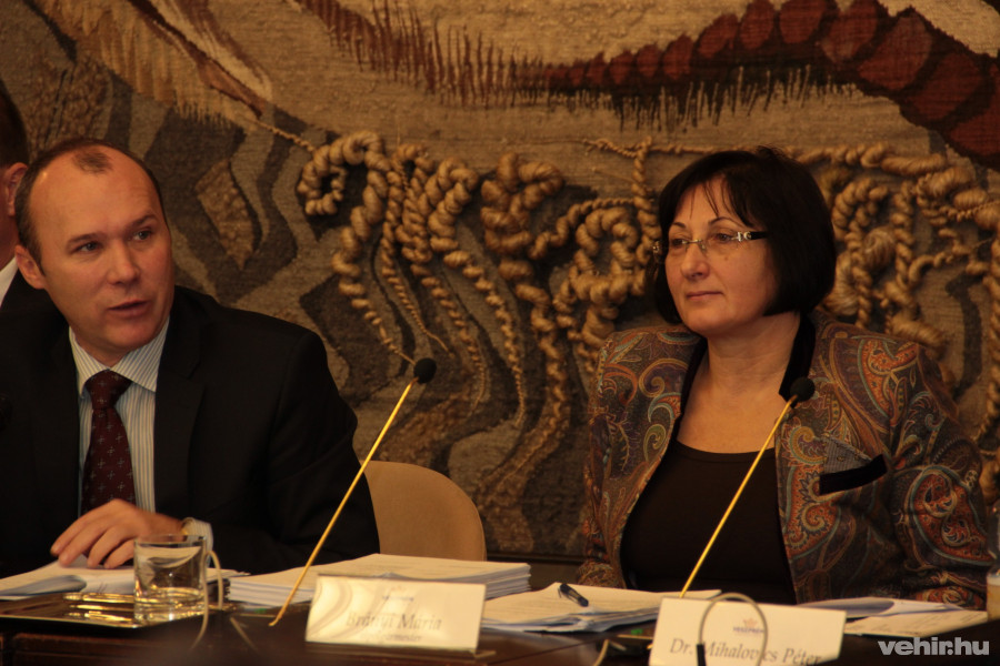 Porga Gyula és Brányi Mária