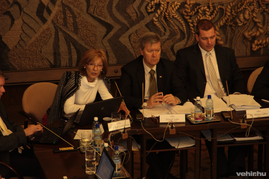 Némethné Károlyi Judit és Némedi Lajos