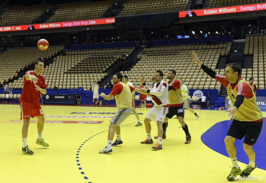 Putics Barna, Nagy Kornél, Schuch Timuzsin, Szöllősi Szabolcs, Ilyés Ferenc, Zubai Szabolcs, Iváncsik Gergő és Gulyás Péter (b-j) a Dániában zajló férfi kézilabda Európa-bajnokságon részt vevő magyar válogatott edzésén a herningi Boxenben 2014. január 17-én. A magyar csapat legközelebb január 18-án Macedónia válogatottja ellen játszik. MTI Fotó: Kovács Tamás