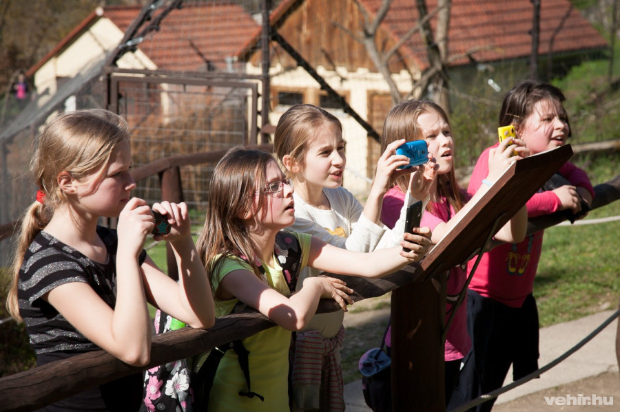 Az állatkert meglátogatása sem maradhatott ki a programból