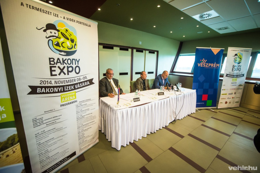 Göttlinger László, Porga Gyula és Sövényházi Balázs