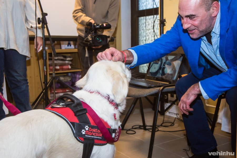 A nap sztárja a terápiás kutya Moncsi volt