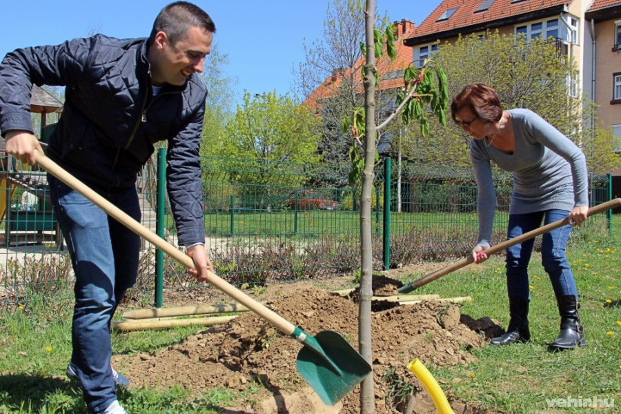 Óvádi Péter önkormányzati képviselő Horváth Mariannal, a Kalmár téri lakások közösképviselőjével ültetett fát kedden délelőtt.