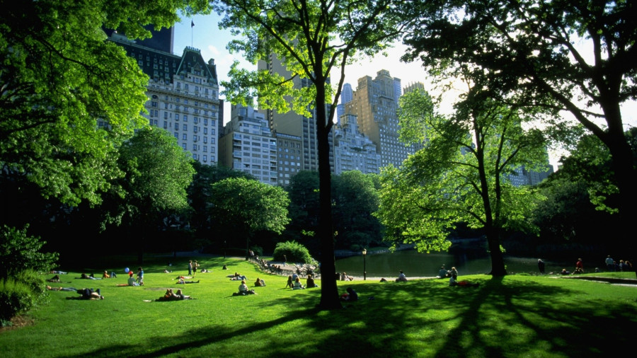 Central Park