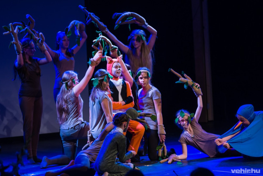 Gazdag programmal készültek a szervezők