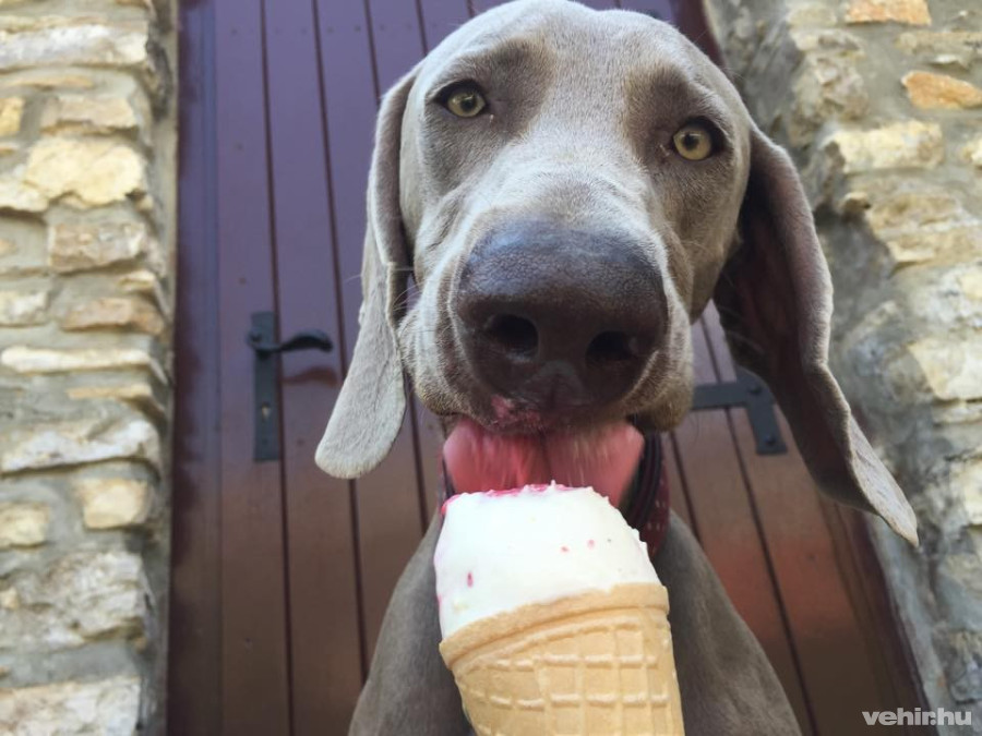 Piri a Fricska házigazdája / fotó: facebook