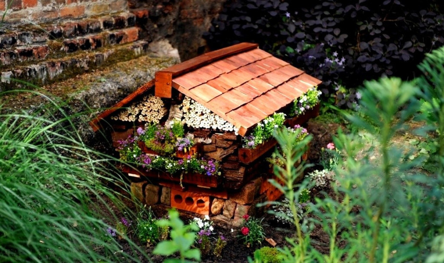 Rovarhotel (illusztráció)