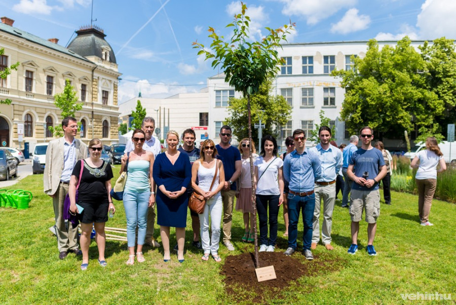 Faültetés az együttműködés jegyében