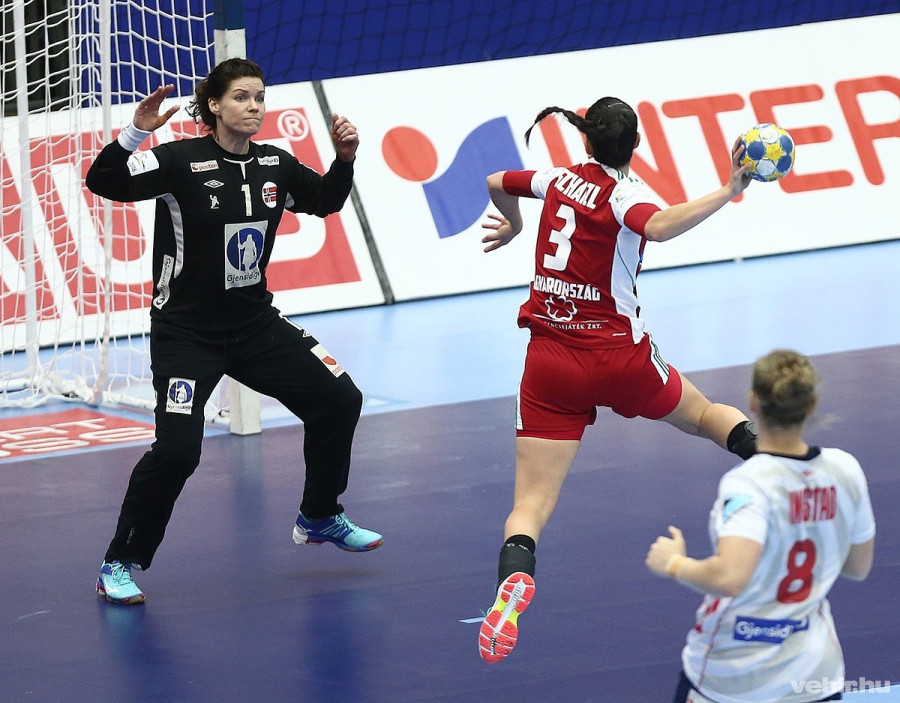Fotó: swe2016.ehf-euro.com