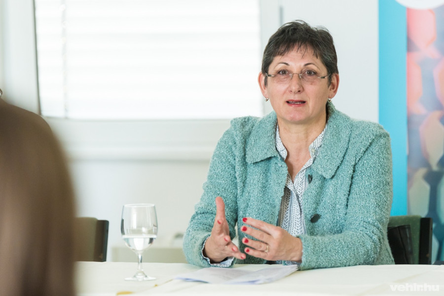 Brányi Mária a kedd délutáni sajtótájékoztatón az E.ON veszprémi székházában