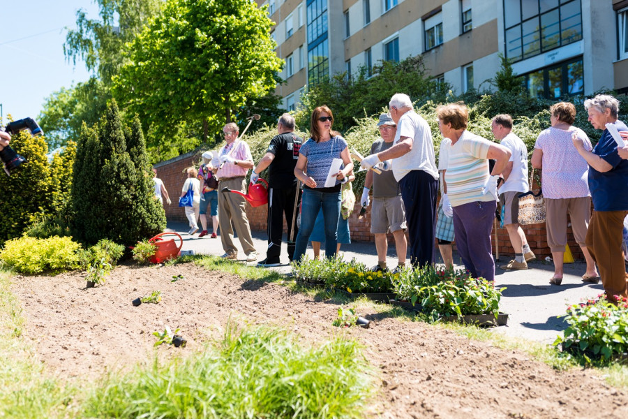 Városszépítés a Cserháton