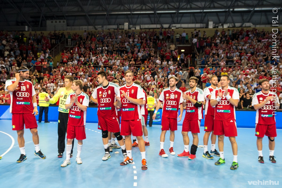 Kétszer is megmérkőzik a svédekkel a magyar csapat (archív fotó)