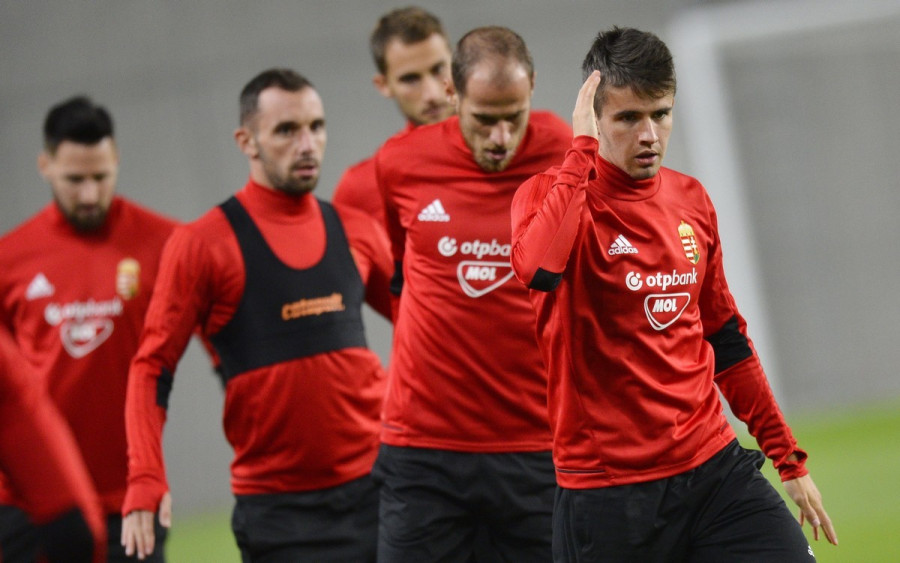 Kádár Tamás, Fiola Attila, Eppel Márton, Szabó József és Nagy Ádám (b-j) – MTI Fotó: Illyés Tibor