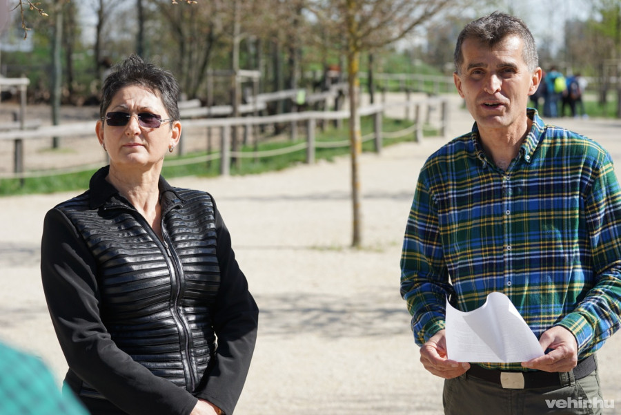 brányi mária és török lászló