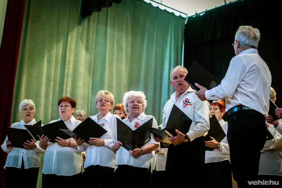 A megemlékezésen a vadgesztenye népdalkör is adott műsort