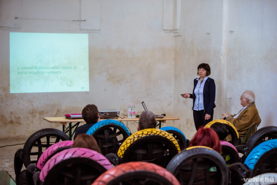 Soósné Harsányi Sarolta