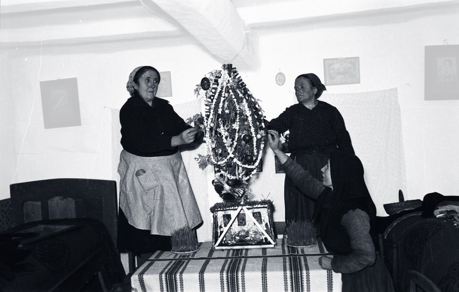 A korai karácsonyfa (Fotó: teliunnepkor.org)
