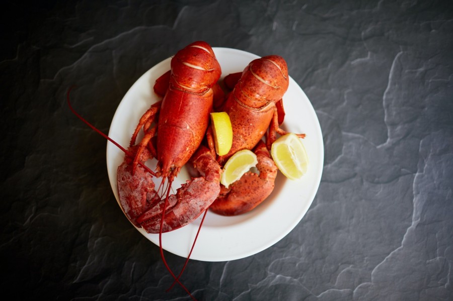 A homárt egykor visszataszítónak tartották, amiből csak az evet, akinek nem volt más választása (David Todd McCarty on Unsplash)