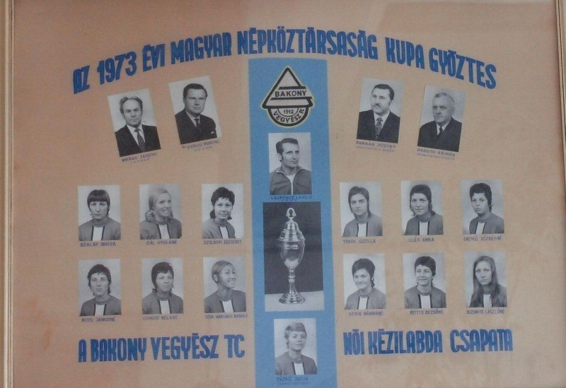 A Bakony Vegyész TC 1973-as csapatának tablója