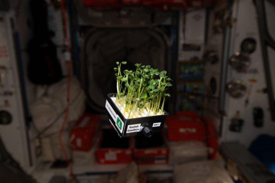 Fotó: HUNOR Program