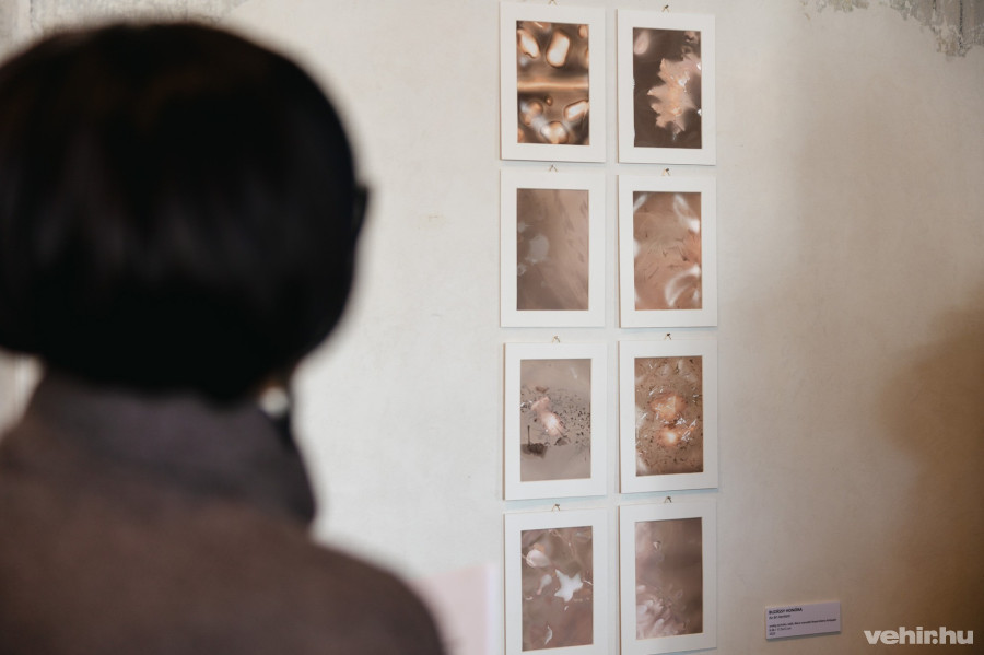 Buzássy Honóra: Az én kertem